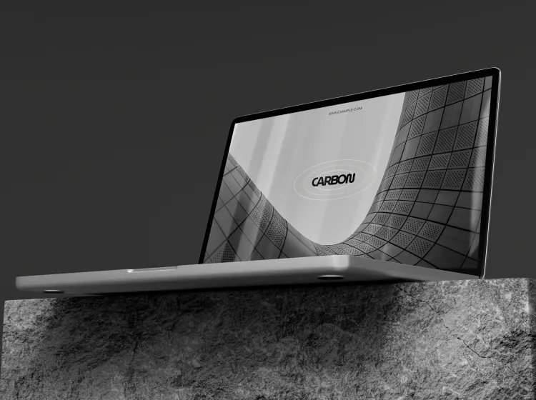 portfolio img 1